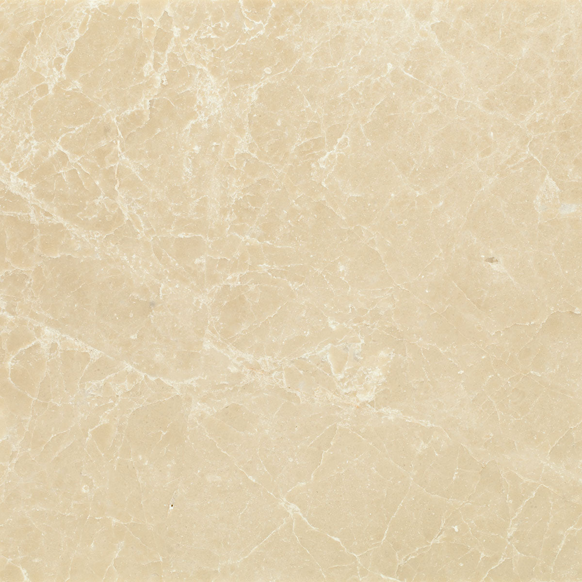 Travertine & Marble Sample