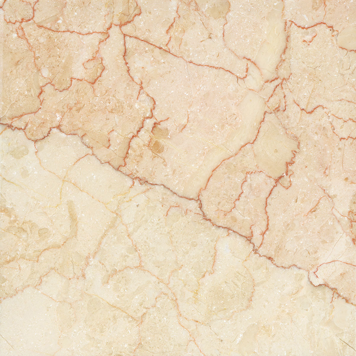 Travertine & Marble Sample